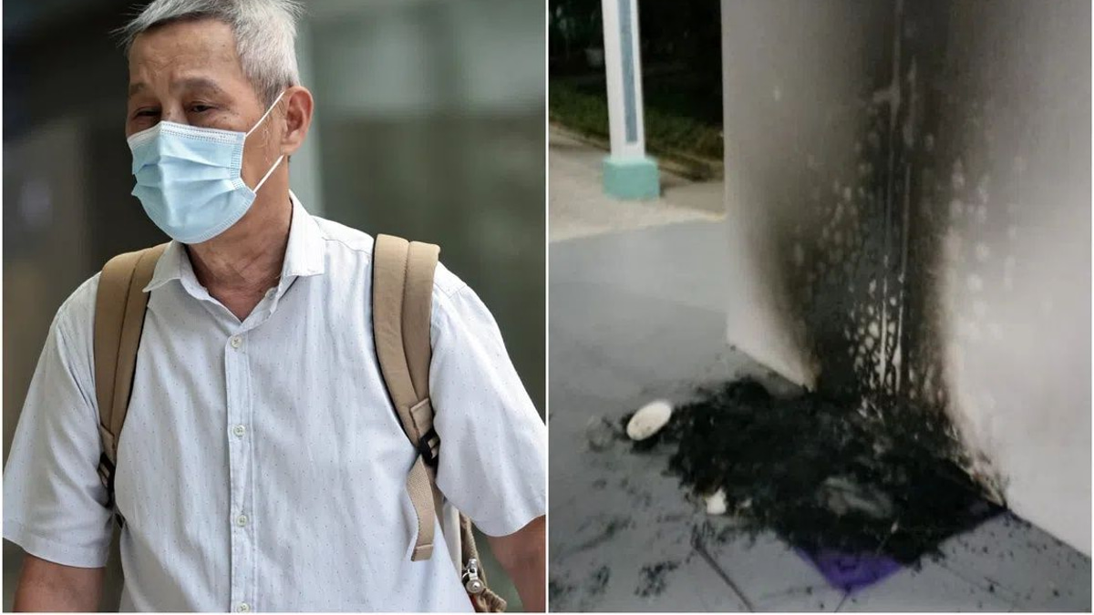 Singapore Man Jailed for Setting Fire to Community Cat Shelters in Bukit Batok Dispute