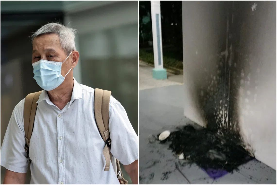 Singapore Man Jailed for Setting Fire to Community Cat Shelters in Bukit Batok Dispute