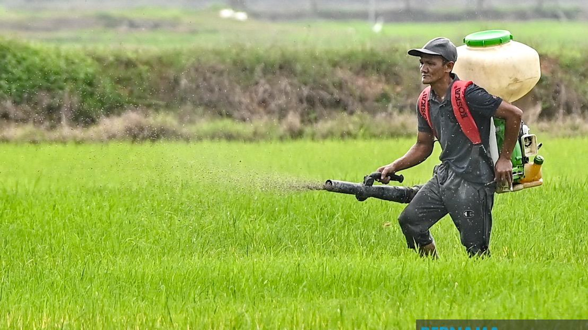 Kelantan Invests RM3.64 Million to Strengthen Agricultural Development Across Multiple Sectors
