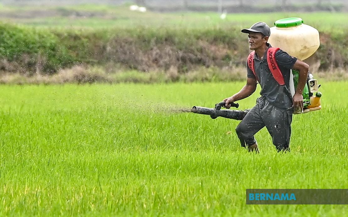 Kelantan Invests RM3.64 Million to Strengthen Agricultural Development Across Multiple Sectors