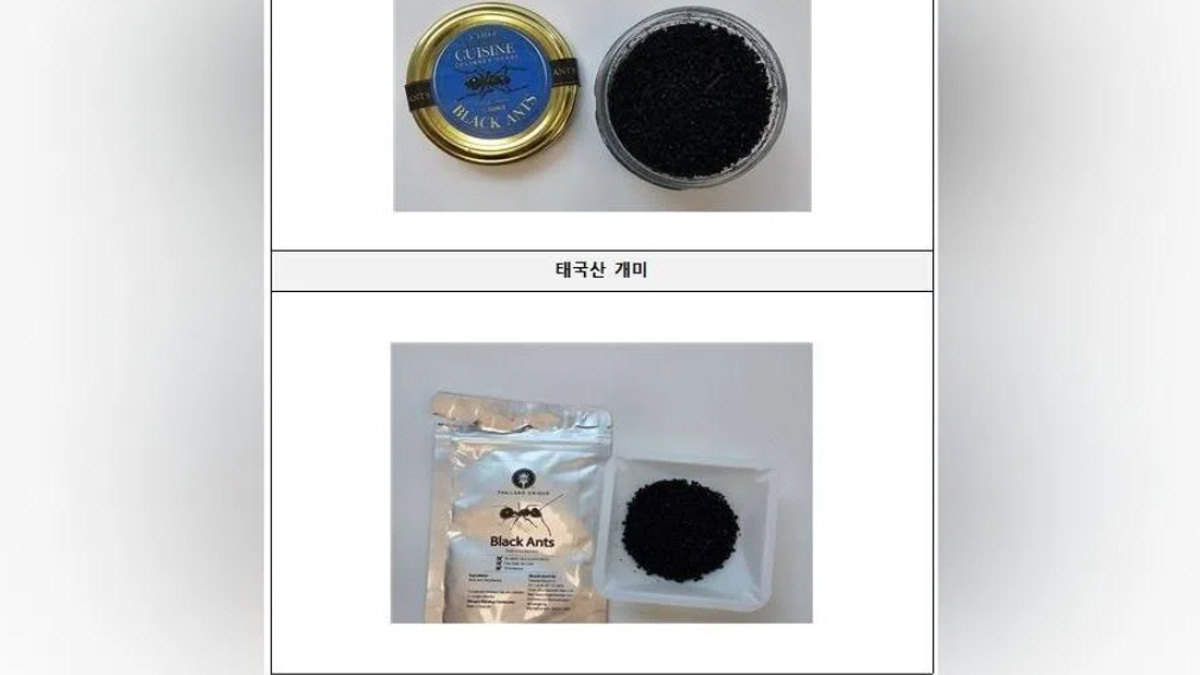 South Korea's Michelin-starred chef faces jail time over illegal ant garnish