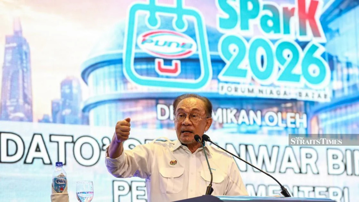 Political patronage taints Bumiputera financing, warns Anwar