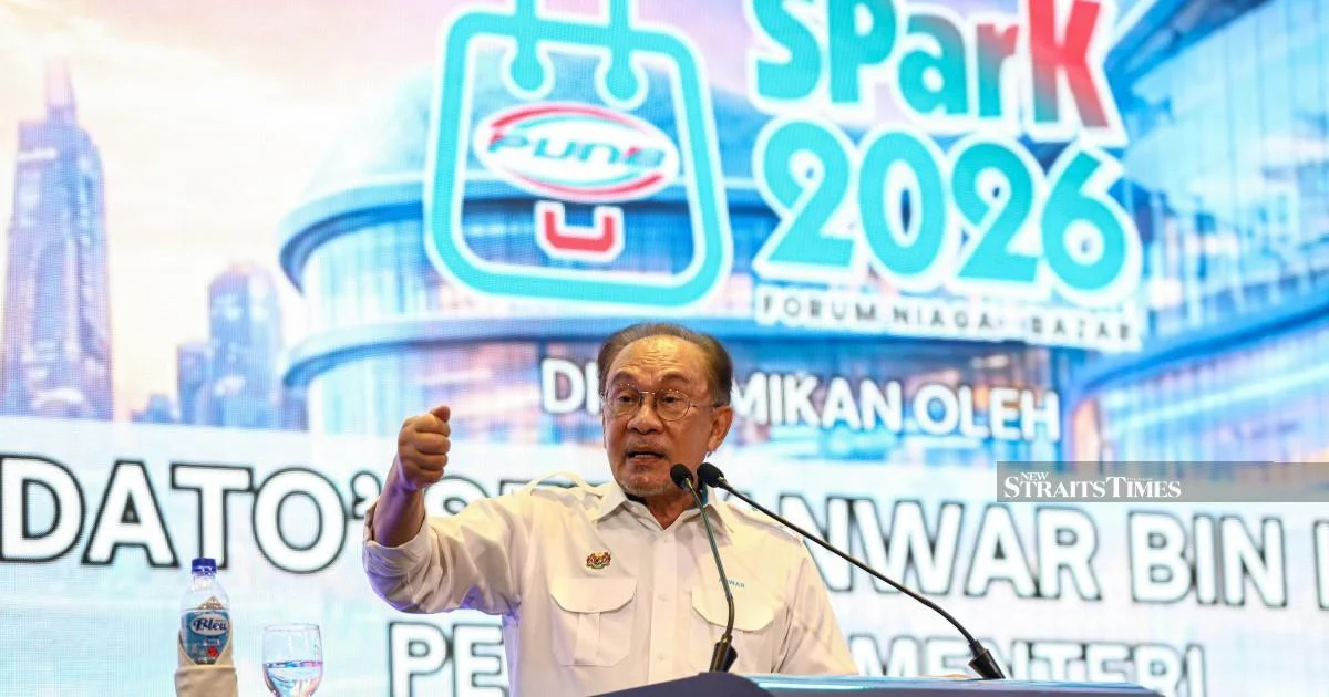 Political patronage taints Bumiputera financing, warns Anwar