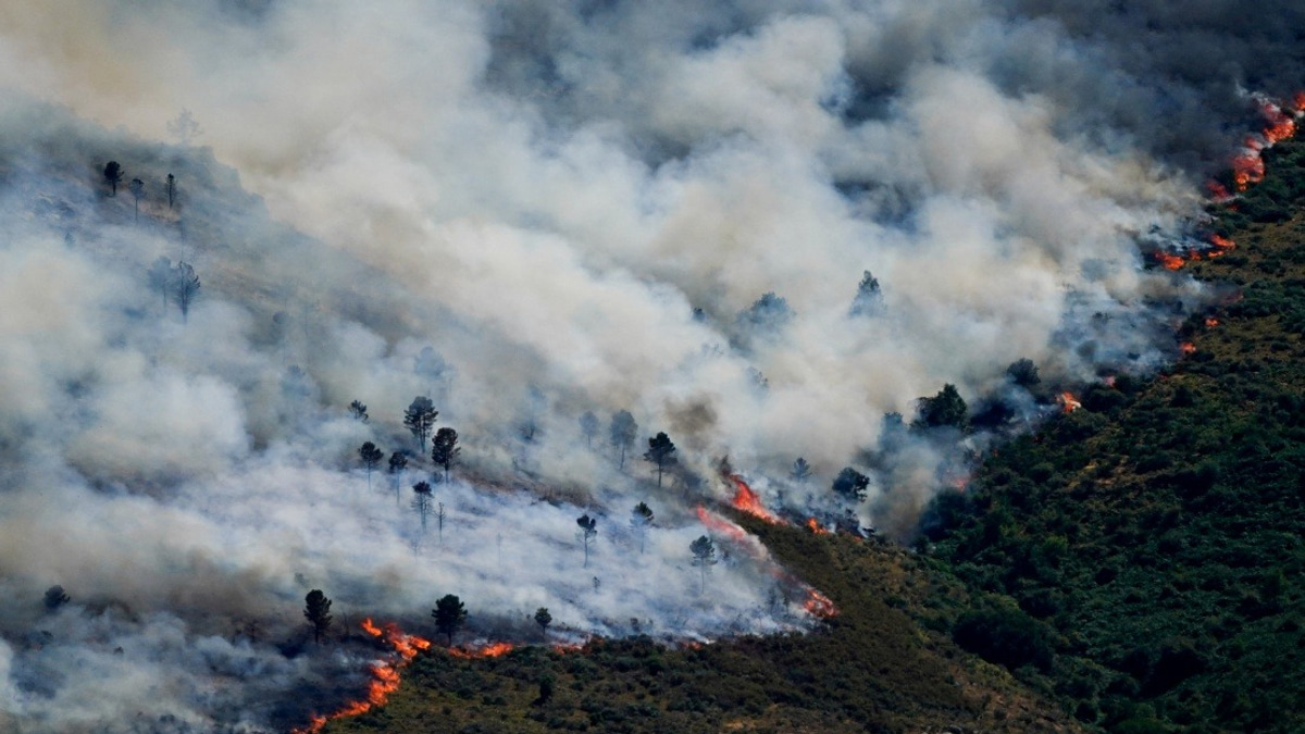 Spain Evacuates Nearly 60,000 as Madrid Wildfires Force Mass Exodus