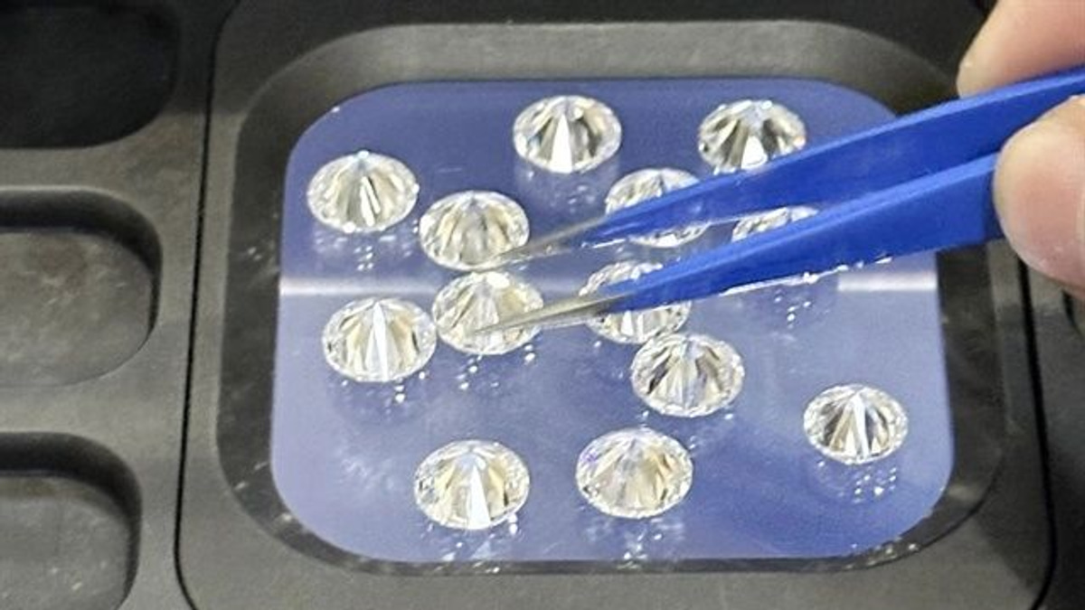 Indian smuggler to face trial in Ho Chi Minh City over €1,500-diamond operation