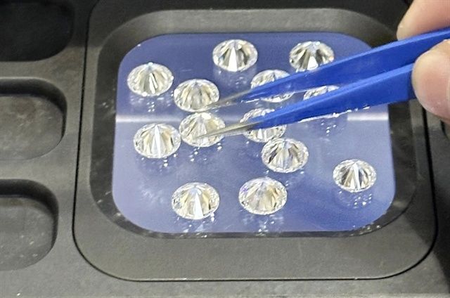 Indian smuggler to face trial in Ho Chi Minh City over €1,500-diamond operation