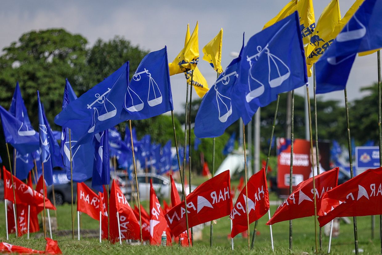 Johor Election Signals Malaysia's Democratic Maturation as Coalitions Balance Competition and Cooperation