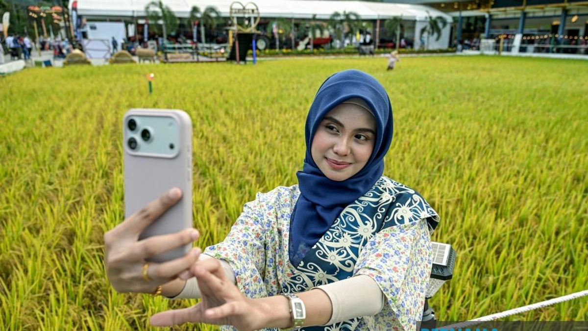 Malaysia's Largest Paddy Art Breaks Records at MAHA 2026