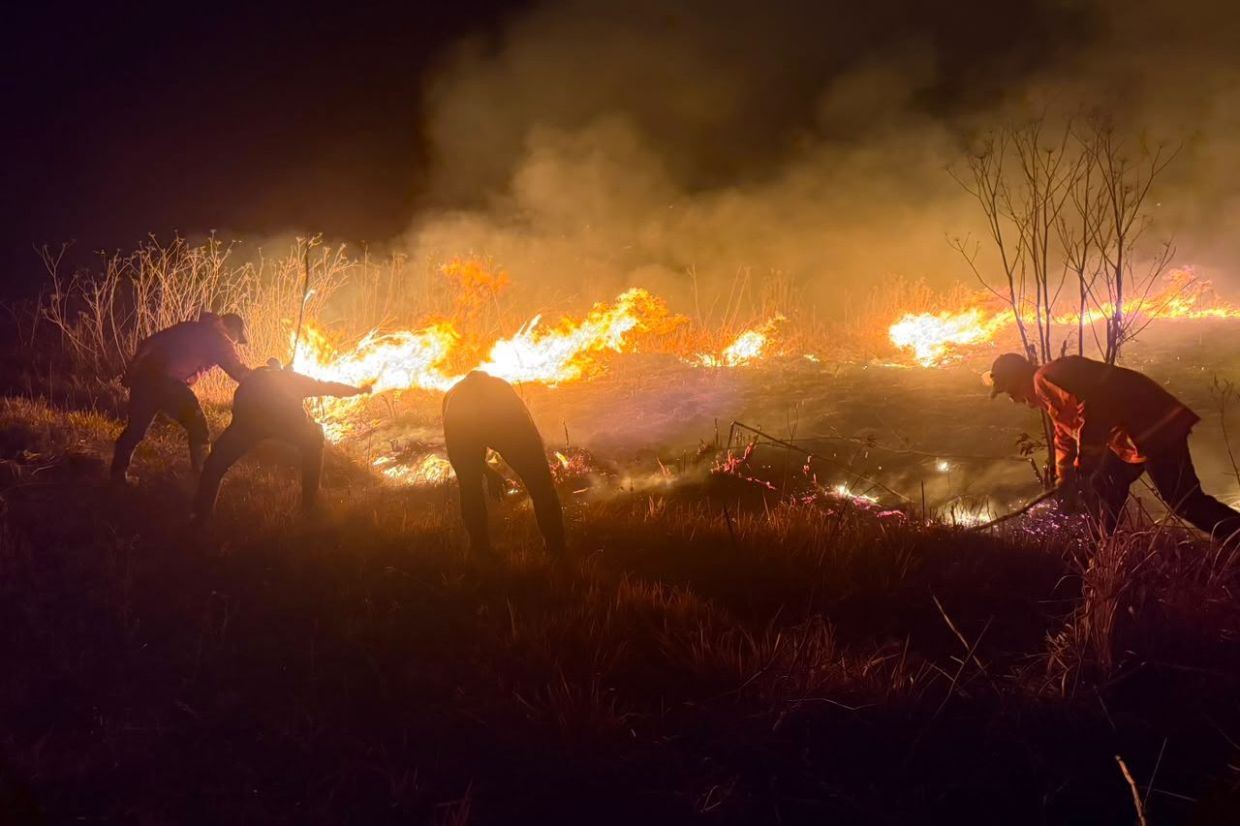 Mount Bromo wildfire expands to 520 hectares as winds intensify East Java crisis