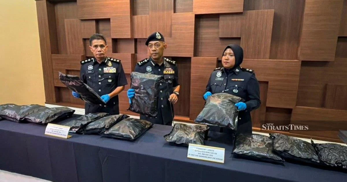 Student Caught with RM1.17 Million Cannabis at Bukit Kayu Hitam Border