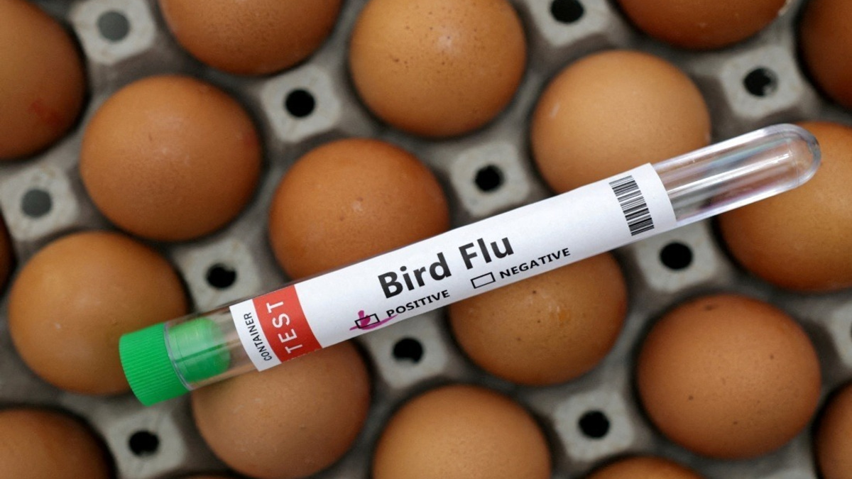 Victoria Enforces Mandatory Indoor Housing for Poultry as H5N1 Detections Accelerate Across Australia