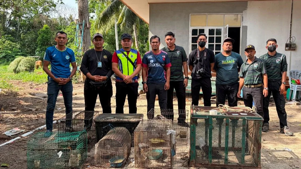 Teenager Held After Police Uncover Nearly RM50,000 in Illegal Protected Species