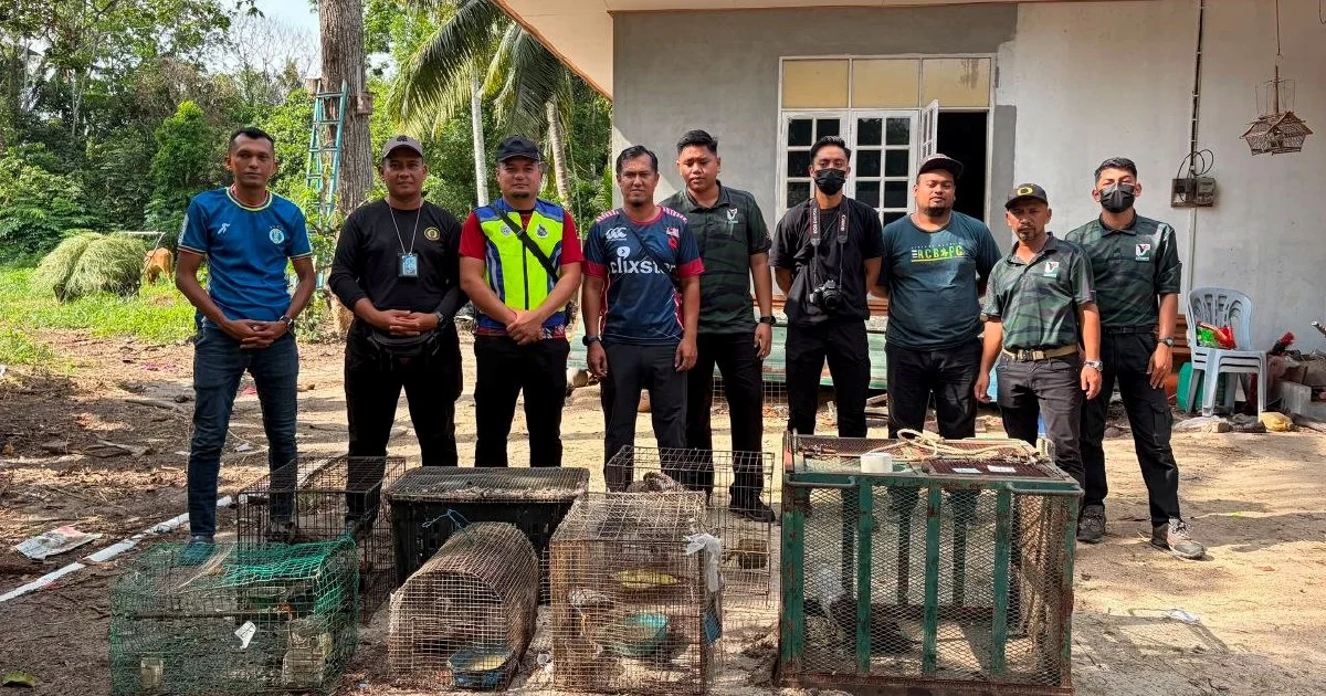 Teenager Held After Police Uncover Nearly RM50,000 in Illegal Protected Species