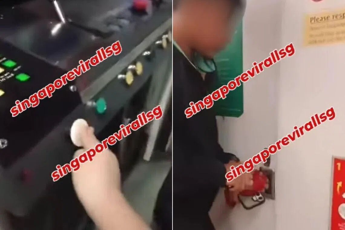 Two Singaporean Boys Given Conditional Warnings After Breaching MRT Train Cabin
