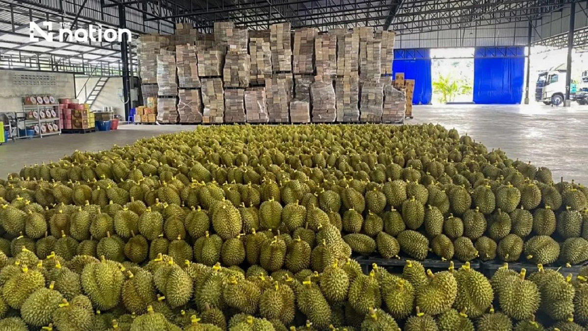 Thailand's durian exports to China surge past THB100bn milestone in first half of 2026