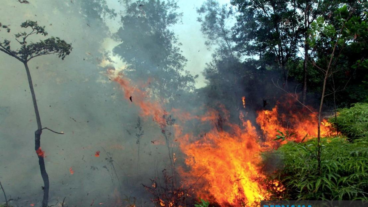 Sabah Urges Public to Stop Open Burning as Kalimantan Haze Drifts Into State