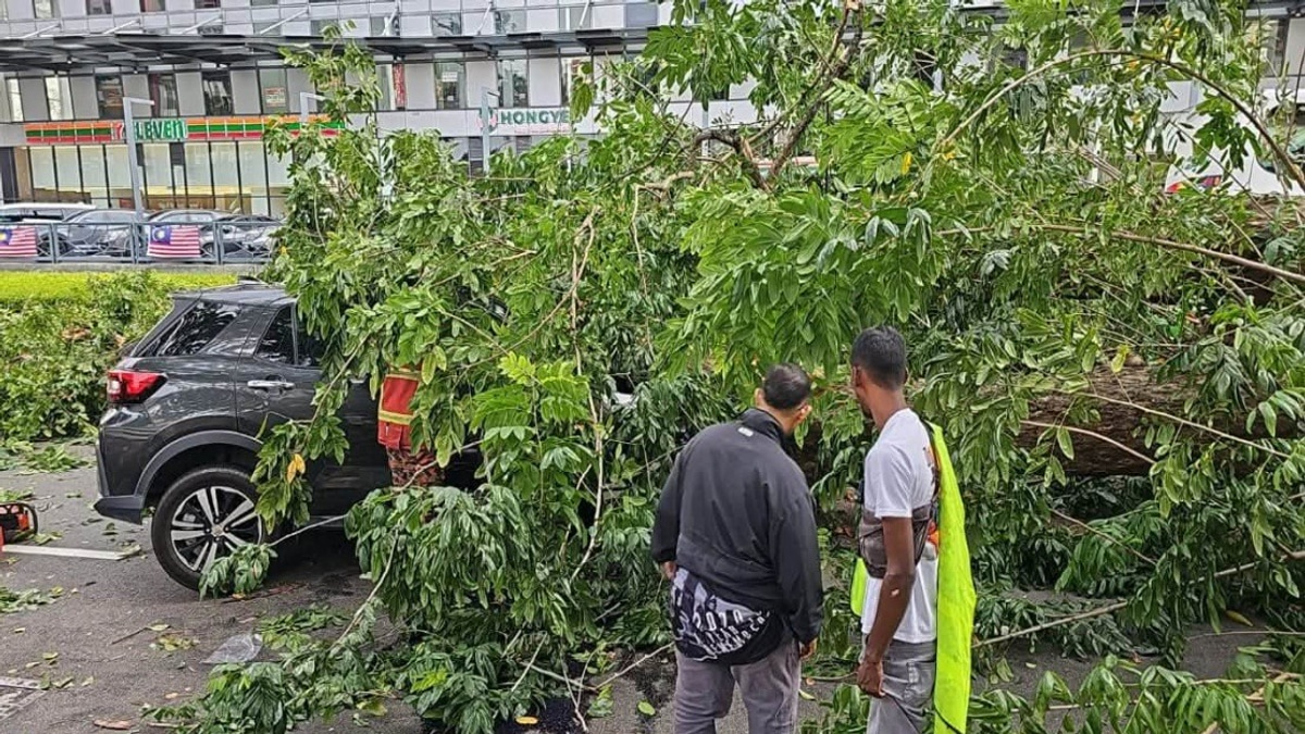 Three Family Members Escape Serious Injury as Tree Topples onto Vehicle in Penang