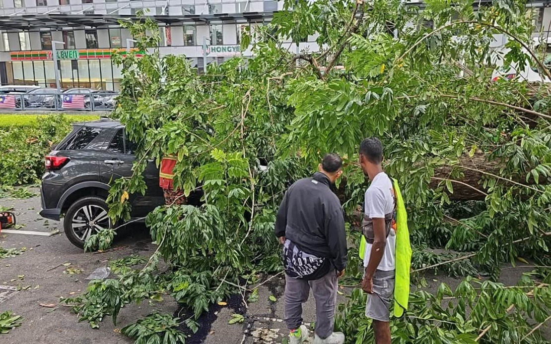 Three Family Members Escape Serious Injury as Tree Topples onto Vehicle in Penang