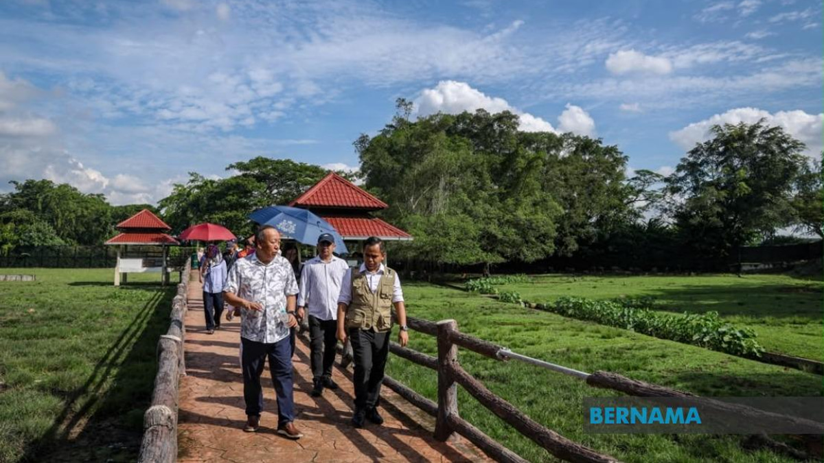 Sabah UMNO Deploys Campaign Machine to Bolster BN in Johor Election
