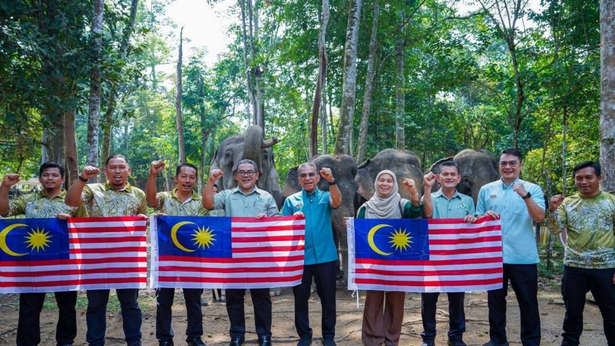 Malaysia's Wildlife Agency Develops New Strategies to Manage Human-Elephant Conflicts