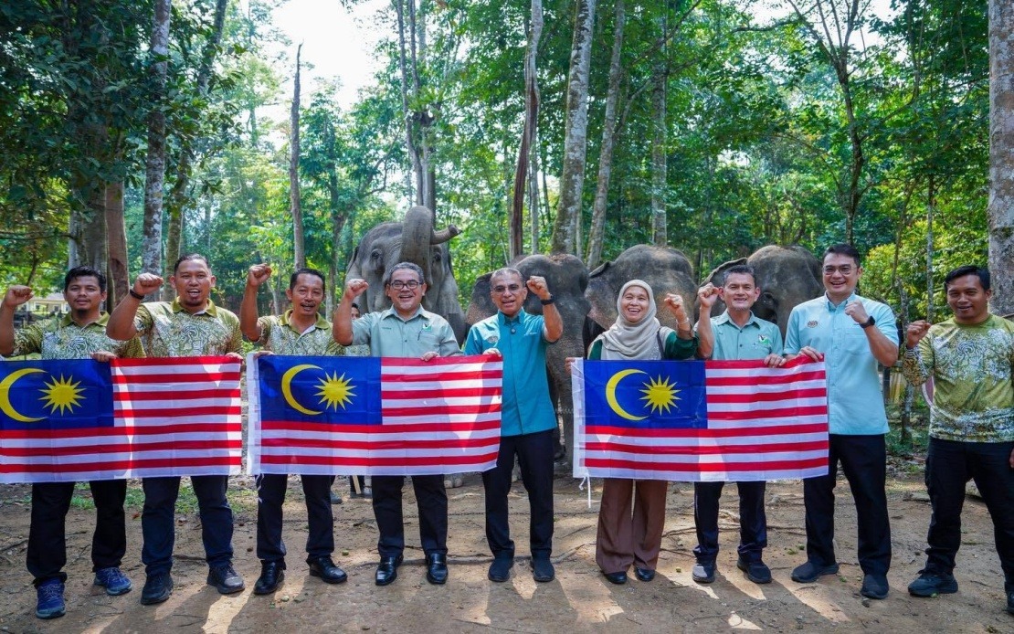 Malaysia's Wildlife Agency Develops New Strategies to Manage Human-Elephant Conflicts