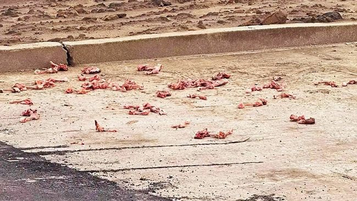 Brunei fines Malaysian national BN$300 for illegal food waste dumping