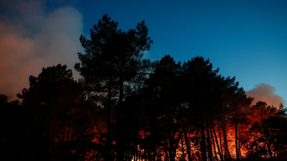 Massive Wildfire Sweeps Through Historic Fontainebleau Forest Near Paris