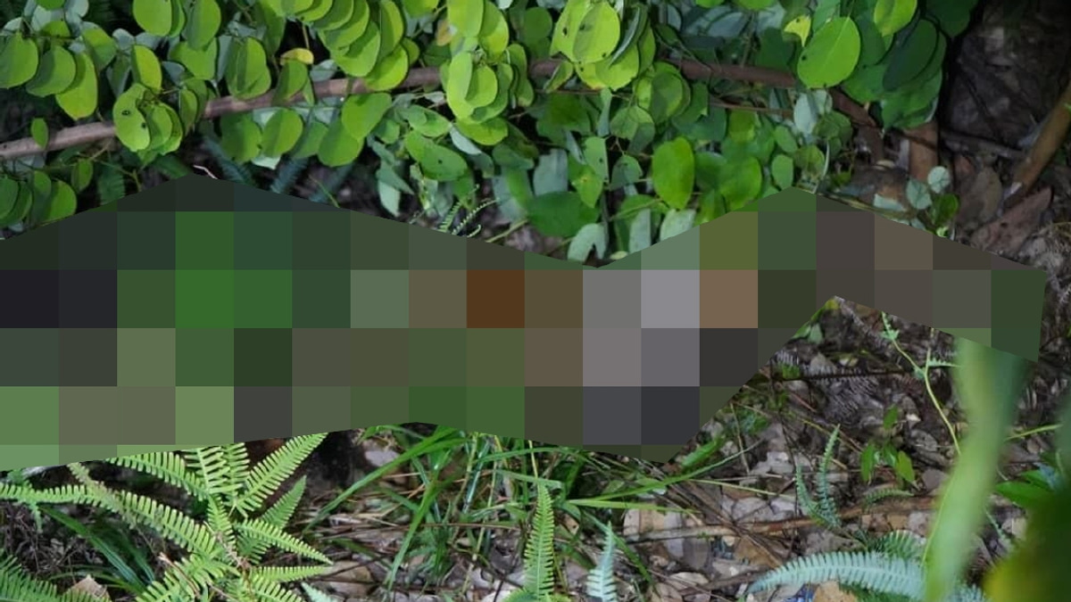10-Year-Old Girl Found Dead After Month-Long Search; Two Men Arrested