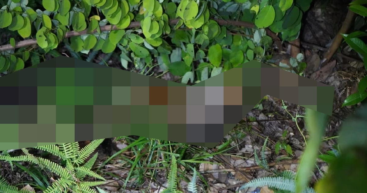 10-Year-Old Girl Found Dead After Month-Long Search; Two Men Arrested