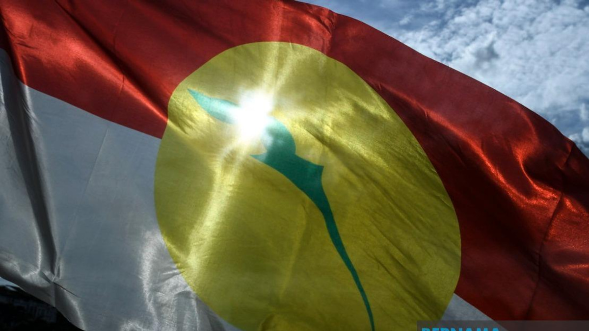 UMNO Members Must Put Party Unity First, Says Azalina After Johor Candidate Selection Controversy