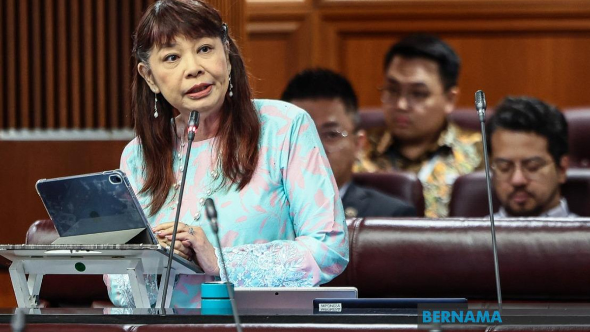 Social Work Profession Bill 2026 Passes Senate, Establishes Professional Standards Framework