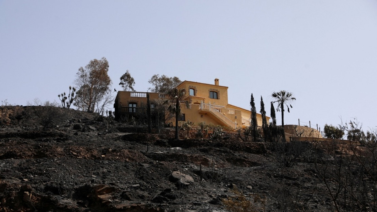 Death Toll From Almeria Wildfire Climbs To 13 As Spanish Authorities Stabilise Blaze