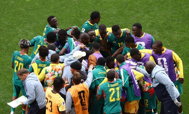 Senegal Football Federation Criticises Team Doctor's Medical Credentials Following World Cup Campaign