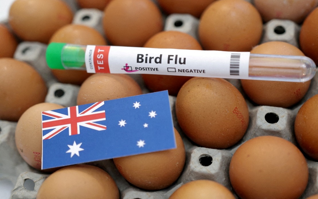 Australia Confirms First H5N1 Bird Flu Case in Mainland Wildlife