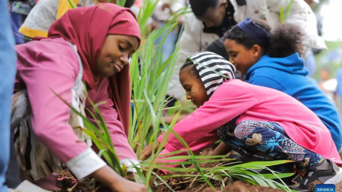 Ethiopia Plants 800 Million Trees in Historic Single-Day Drive