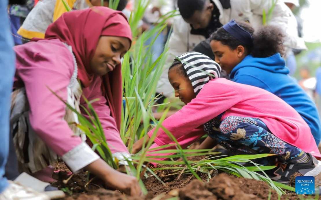 Ethiopia Plants 800 Million Trees in Historic Single-Day Drive
