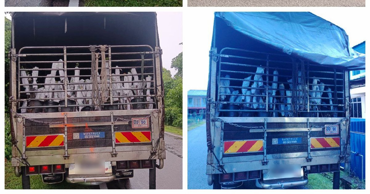 Two arrested with RM85,000 worth of smuggled plant saplings from Thailand