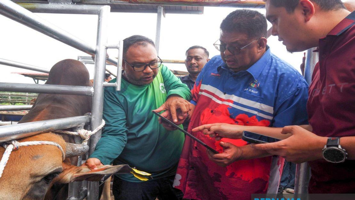 Melaka Deploys QR Tag System to Track Livestock and Boost Public Safety