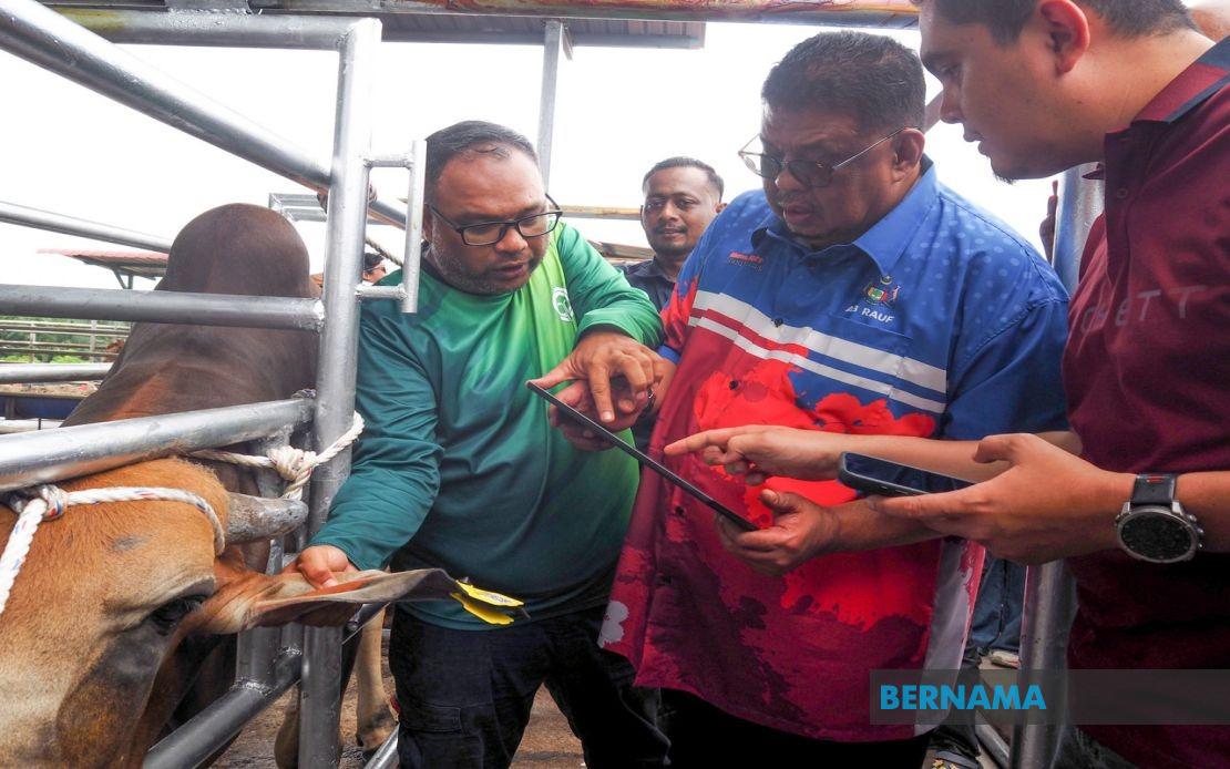 Melaka Deploys QR Tag System to Track Livestock and Boost Public Safety