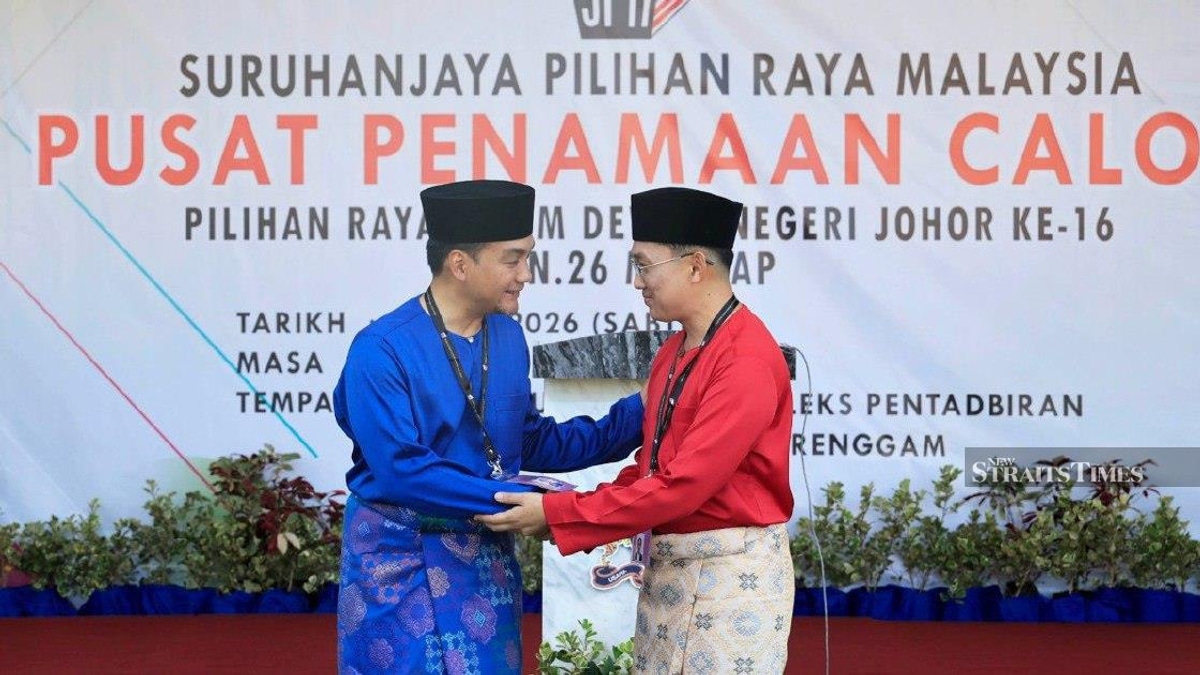 Johor election: Onn Hafiz warns Machap is 'wide open' despite seeking re-election