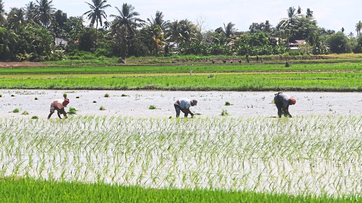 Malaysia Shields Food Prices From Middle East Turmoil Through Strategic Subsidies and Long-Term Planning